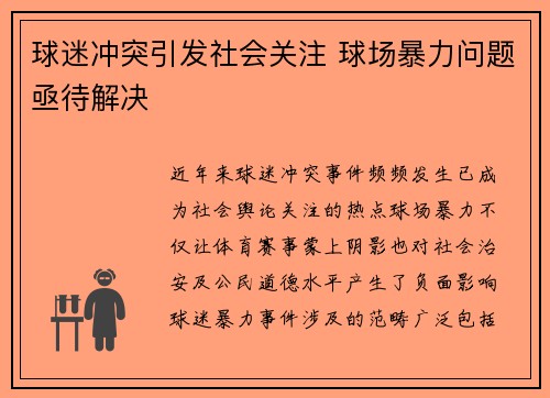 球迷冲突引发社会关注 球场暴力问题亟待解决 球迷冲突引发社会关注 球场暴力问题亟待解决